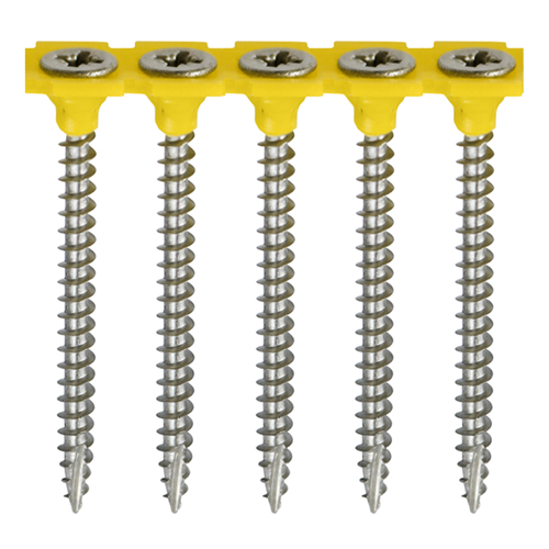 Collated Stainless Steel 40mm Screws 1