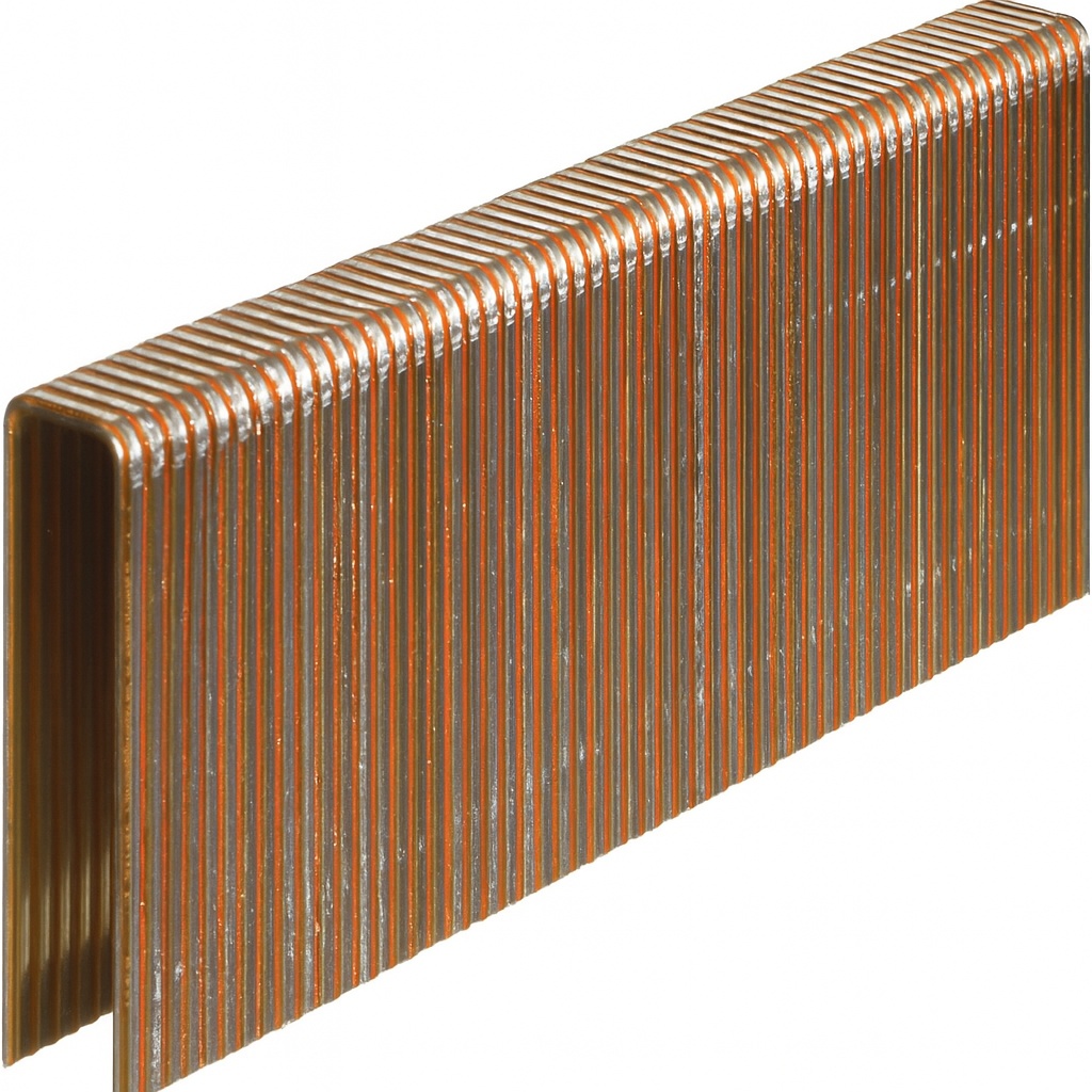 G55 19mm Heavy Duty Framing Staples 2