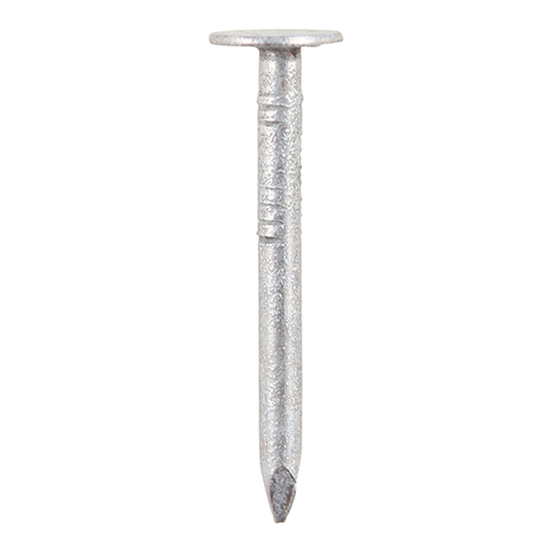 Galvanised Roofing Clout Nails 65mm 2