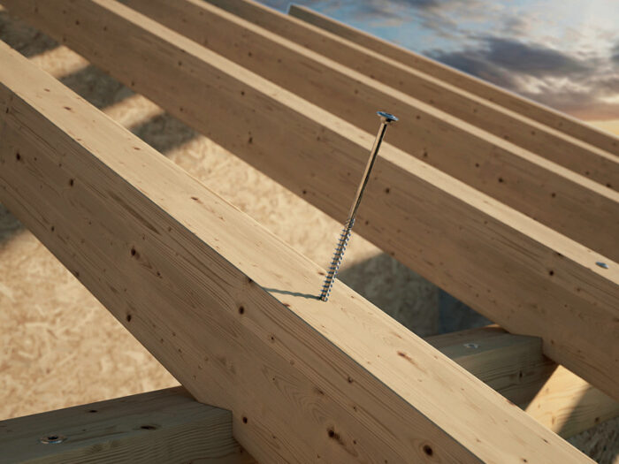 6 x 100mm structural screws